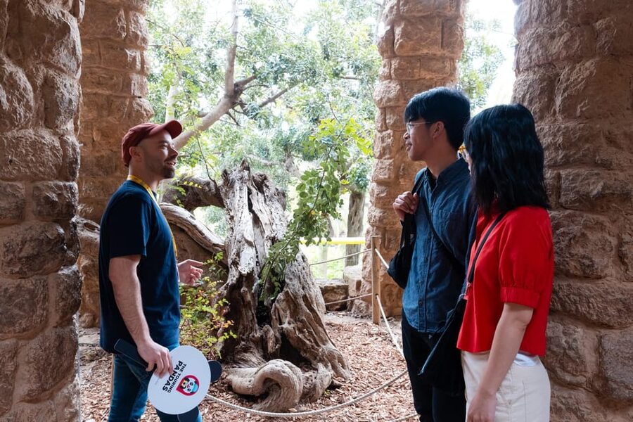 Barcelona: Park Güell Guided Tour with Fast-Track Access - Getting there from the center: timing beats taxi roulette
