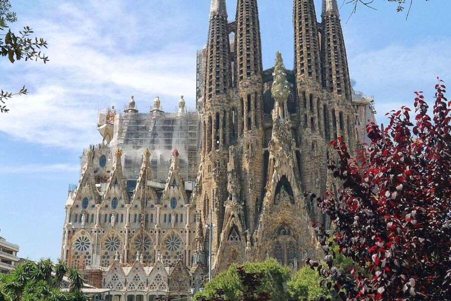 Barcelona & Park Güell: Private Half-Day Tour with Pickup - Montjuïc: Panoramic Views Plus 1992-Era Landmarks