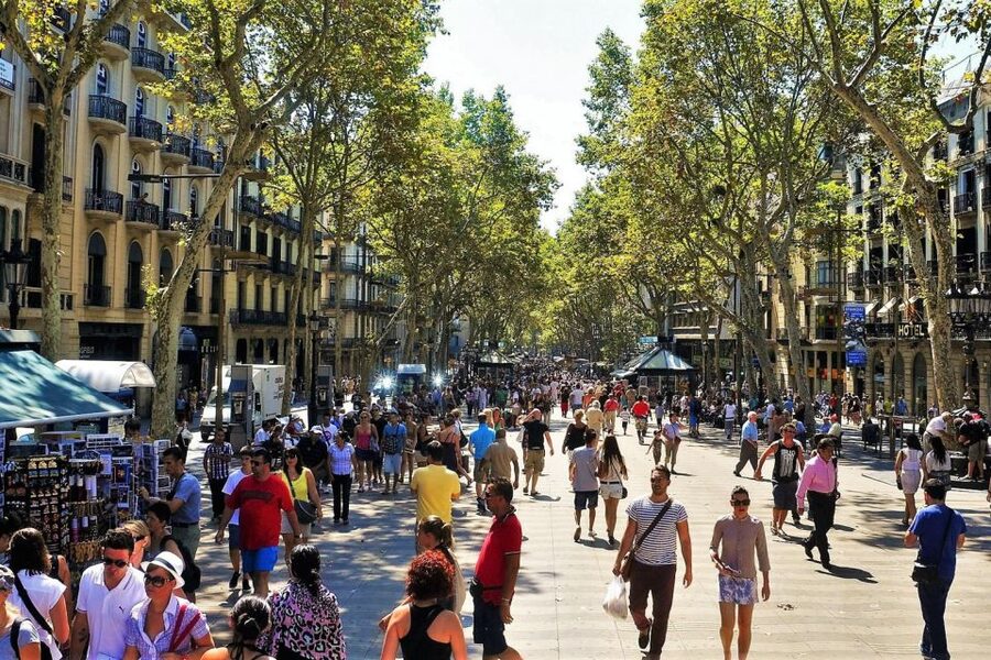 Barcelona & Park Güell: Private Half-Day Tour with Pickup - Eixample and the Gaudí-to-Unesco Thread: Sagrada Família and More