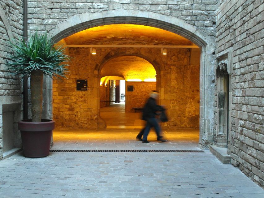 Barcelona: Picasso Museum Guided Tour - Blue, Pink, Cubism, Neoclassicism, Surrealism, and What to Look For