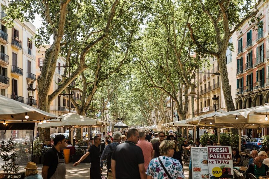 Barcelona: Private Custom Tour with a Local – Icons & Gems - Possible Drawbacks to Keep Your Expectations Straight