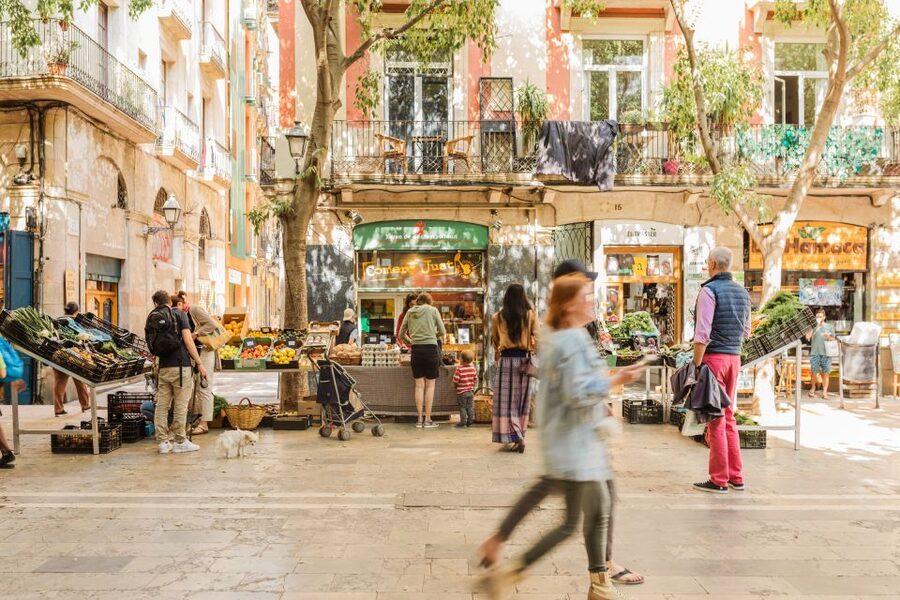 Barcelona: Private Custom Tour with a Local – Icons & Gems - Getting Tips That Change How You Spend the Rest of Your Trip