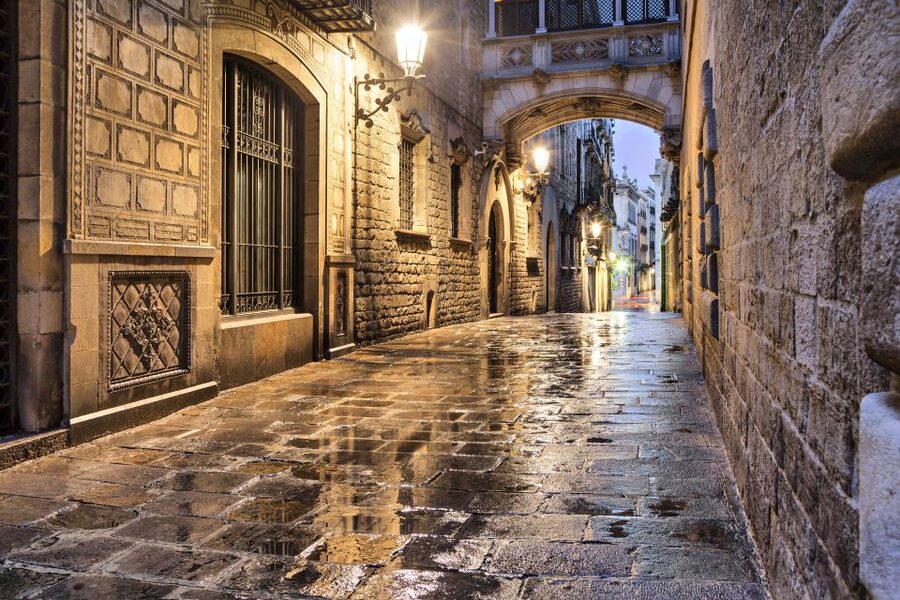 Barcelona: Private Custom Tour with a Local – Icons & Gems - Price and Value: What $53 per Person Really Buys