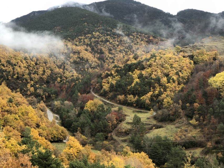 Barcelona: Private Guided Day Trip to Andorra with Pickup - Lunch Break In Andorra: Plan For Food Costs