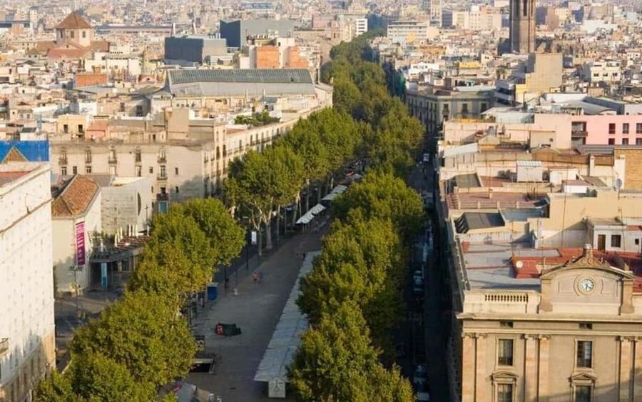Barcelona: Private Half-Day Sightseeing Tour with a Local - Price and value: $391 per group, up to 4 people