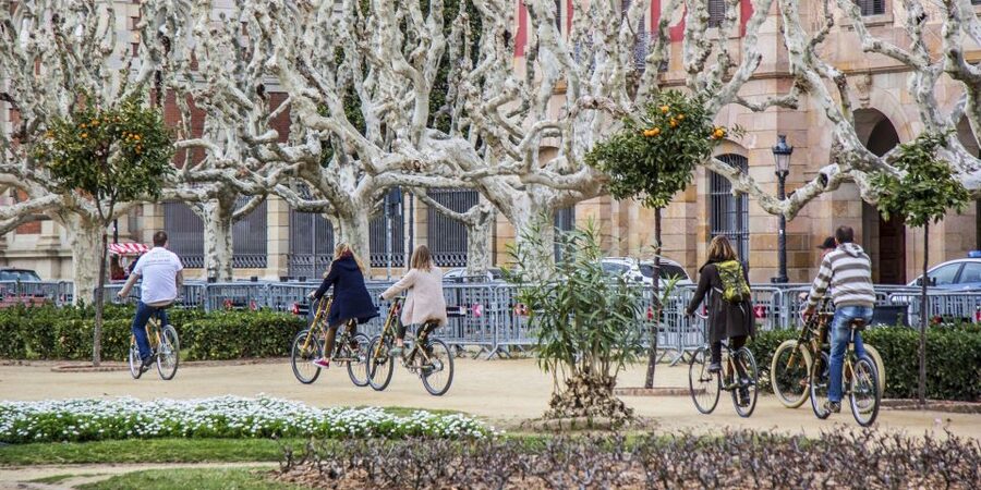 Barcelona: Private Highlights Tour by Bamboo Bicycle - Key Highlights You Will Actually Care About
