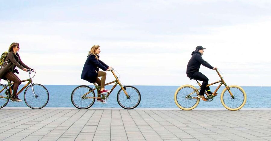 Barcelona: Private Highlights Tour by Bamboo Bicycle - Gothic Quarter: Where Your Tour Gets Real