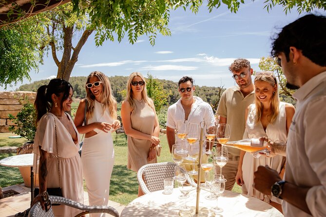 Barcelona: Private SITGES Tour and PENEDÈS Wine Tasting & TAPAS - The drive to Penedès: switching from sea air to vine rows