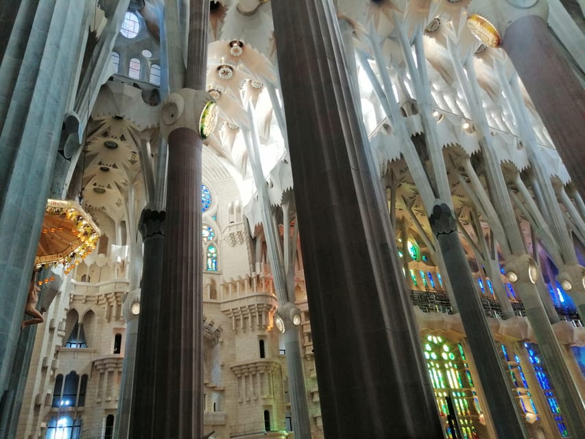 Barcelona: Sagrada Família and Park Güell Guided Tour - Price and logistics: deciding if it’s worth it for your day