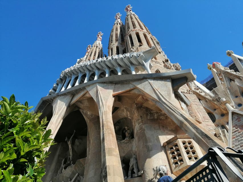 Barcelona: Sagrada Família and Park Güell Guided Tour - Park Güell: mosaics, viaducts, and the Dragon Stairway