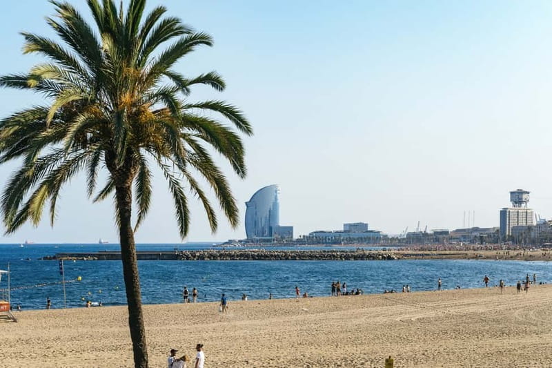 Barcelona: Sagrada Familia or Coastal City Sights by eBike - Parc de la Ciutadella to Vila Olimpica: park views then sea air