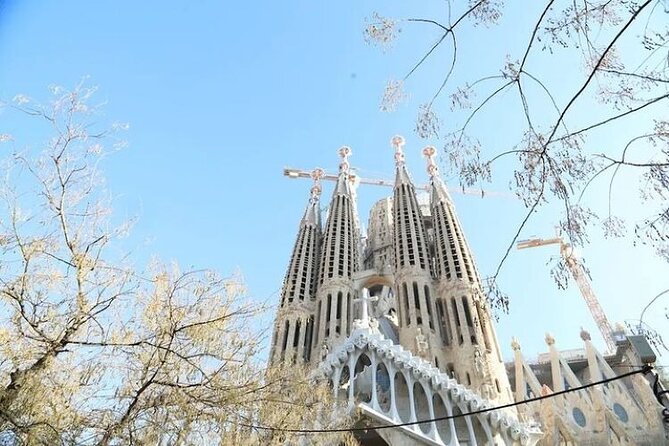 Barcelona: Sagrada Familia Skip The Line Insider Guided Tour - Gaudí Stories That Make Details Click