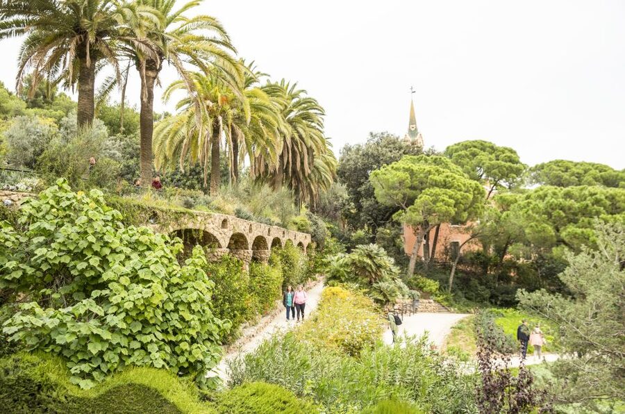 Barcelona: Sagrada Familia with Towers and Park Güell Tour - What to wear and bring for a 4.5-hour Gaudí sprint