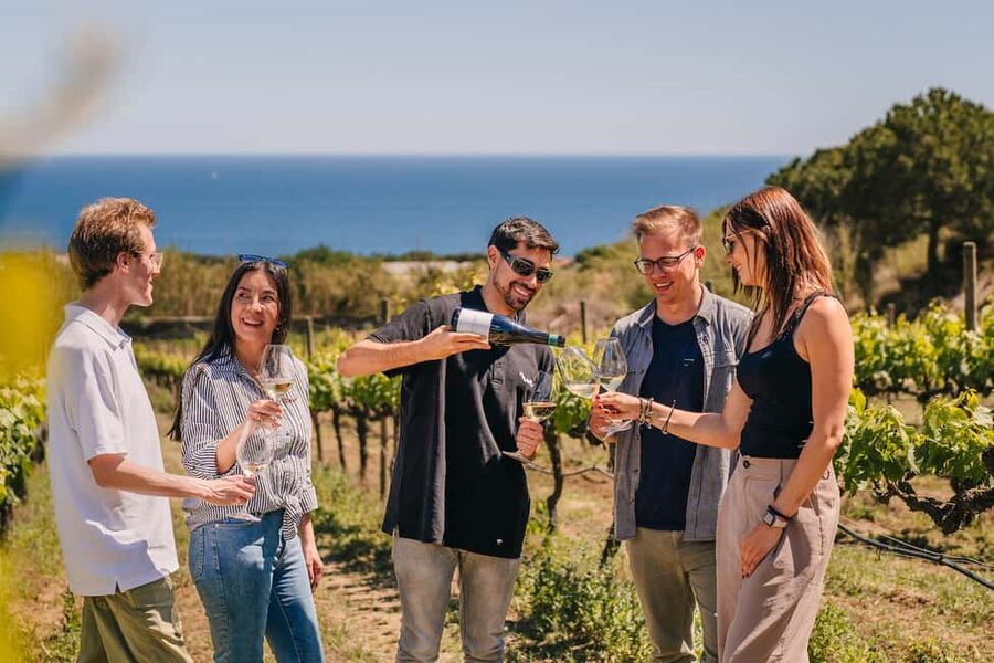 Barcelona: Sailing Cruise & Vineyard Tour with Wine Tasting - Key points to know before you go