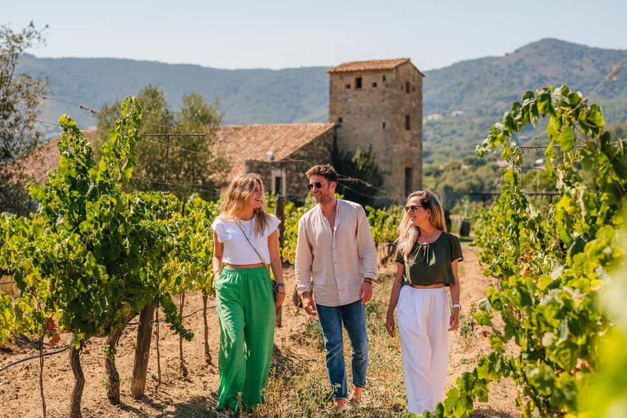 Barcelona: Sailing Cruise & Vineyard Tour with Wine Tasting - 4 organic wine tastings plus Catalan brunch pairing