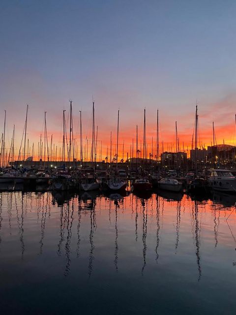 Barcelona: sailing experience, excursions lasting 2h - Olympic Port stop: aperitif, beer, snacks, and the swim window