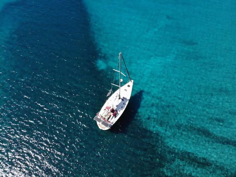 Barcelona: Sailing tours con capitán local, bebidas y snacks - Dolphins and sea life, when the day gives you luck