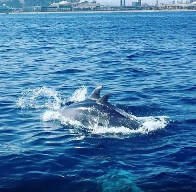 Barcelona: Sailing tours con capitán local, bebidas y snacks - The 2-hour route: from Moll de Mestral to Barcelona skyline views