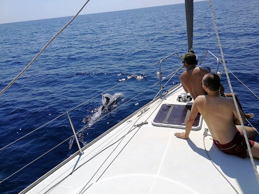 Barcelona: Sailing Trip with Drinks and Snacks - Seeing Barcelona’s big icons from a moving viewpoint