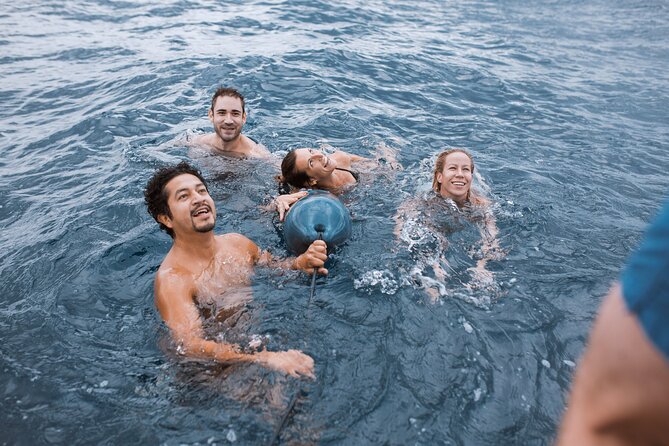 Barcelona Sunset Cruise with Open Bar of Cava and Snacks - Price and value: does $48.15 make sense?
