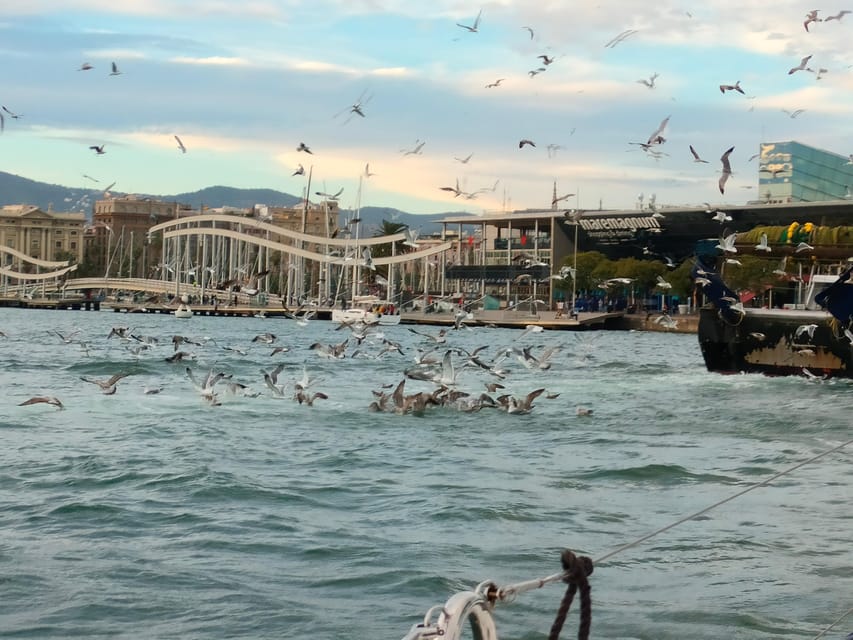 Barcelona: Sunset Cruise with Snacks and Drinks - Port Olímpic to city lights: why this sunset cruise works