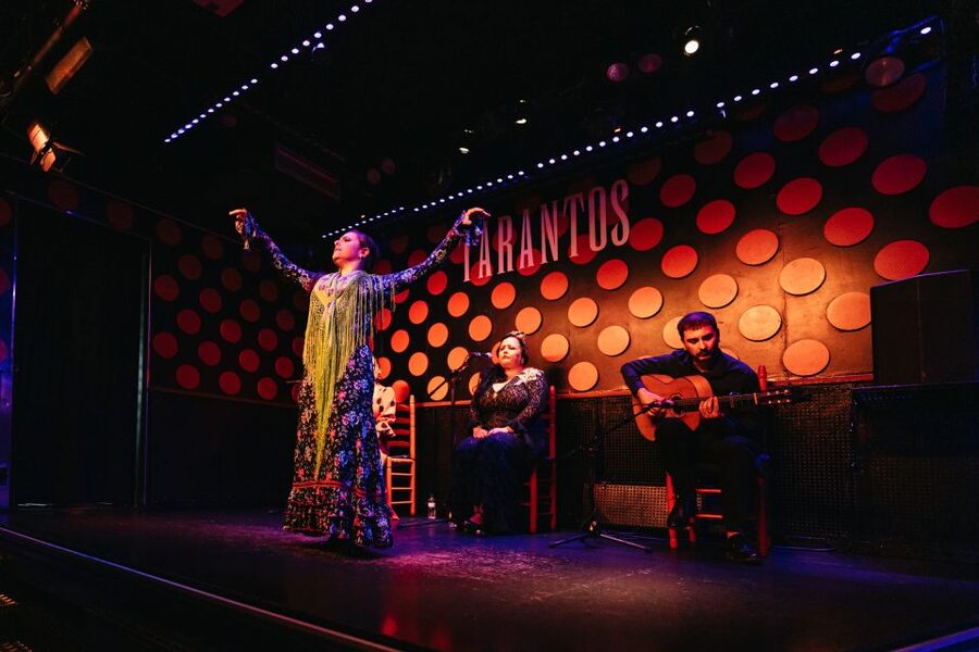 Barcelona: Tapas and Flamenco Experience - The Flamenco Theater Near Plaça Reial: What the 30-Minute Show Delivers