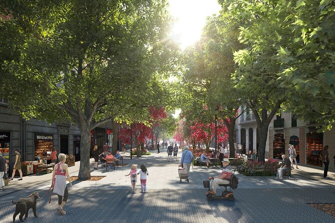 Barcelona Urban Planning Tour - Towards a Sustainable Smart City - The guide experience, and why names matter
