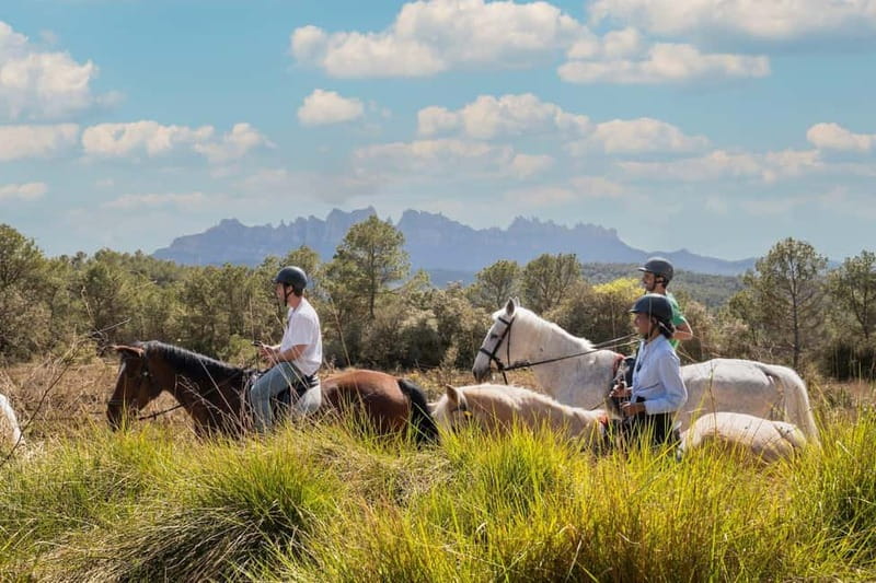 Barcelona: Walking and Horse Riding Day-Trip in Montserrat - Who this tour fits best, and who should look elsewhere