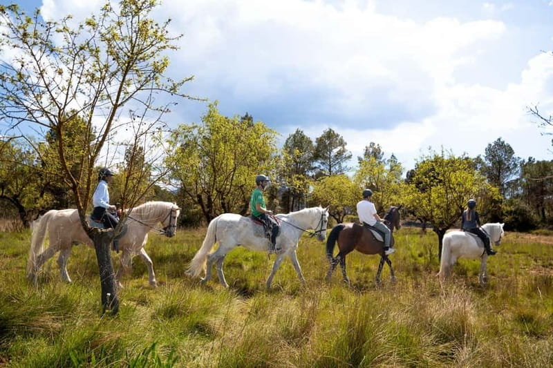 Barcelona: Walking and Horse Riding Day-Trip in Montserrat - Montserrat, done the active way (monastery, park walk, then the saddle)