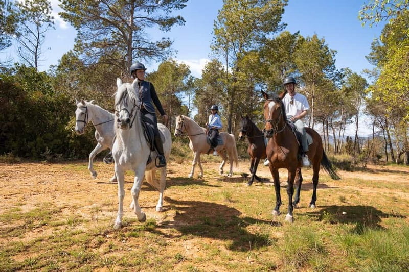 Barcelona: Walking and Horse Riding Day-Trip in Montserrat - Timing and pacing: why the schedule feels balanced