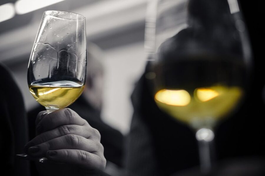 Barcelona Wine Tasting: Catalan and Spanish Wines - How the tasting works: sommelier-led look, smell, sip, then pair