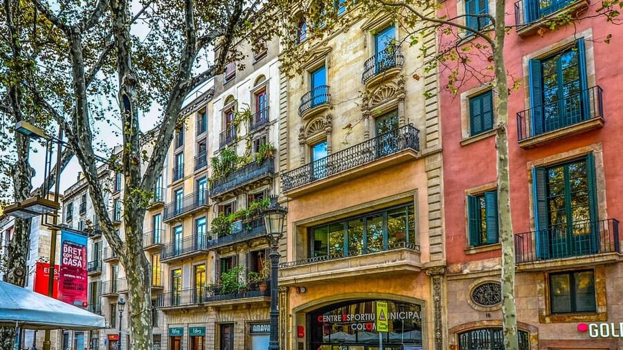 Best of Barcelona: Private Walking Tour with a Local - La Rambla: famous street, local-grade guidance