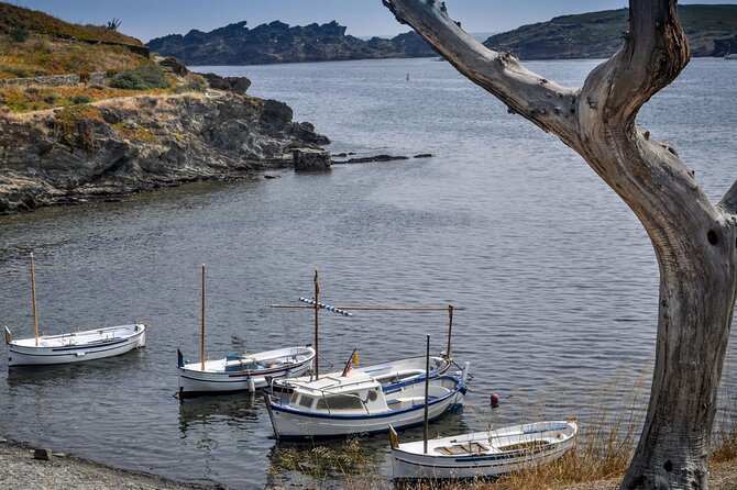 Boat through Cap de Creus and Port Lligat visit Cadaqués 1H30 - Port Lligat Cove: Dalí’s World Seen from the Water