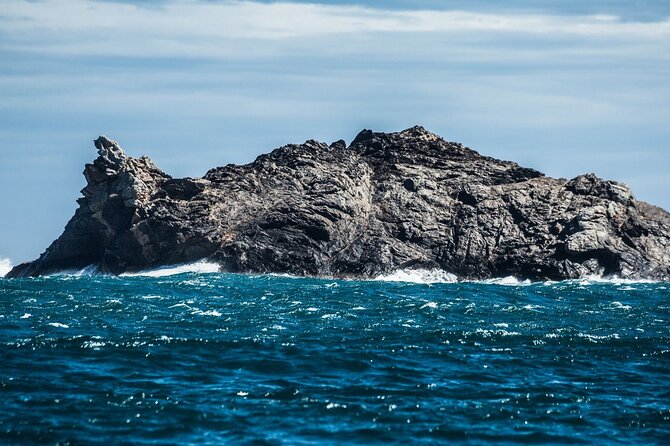 Boat through Cap de Creus and Port Lligat visit Cadaqués 1H30 - What the Included Tickets Actually Cover on This Trip