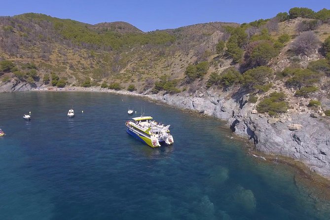 Cala Murtra: Immerse yourself in the beauty of an underwater world - Underwater Viewing: The Best Part If You Like Seeing Fish Up Close