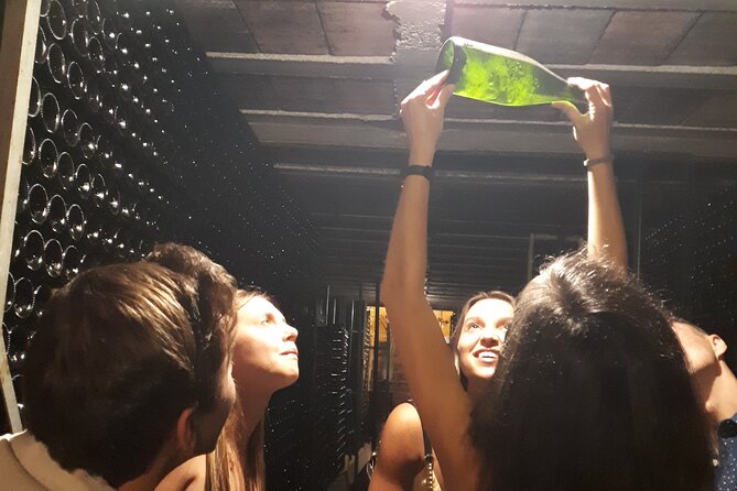 Cava tour to 3 family wineries with hotel pick-up - How This Barcelona Cava Day Trip Works (and why the timing feels right)