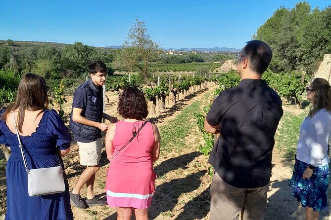 Cava tour to 3 family wineries with hotel pick-up - Price and value: is $211.72 per person actually fair?