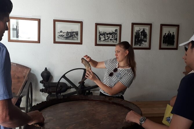 Cava tour to 3 family wineries with hotel pick-up - Stop 1: Artcava Winery and the old Catalan farmhouse start