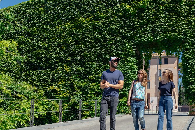 City Explorer: Girona Private Day Trip - The Tour’s Flexible Stops and the Cathedral Question