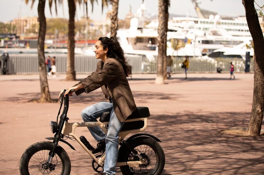 City Highlight Tour on a Luxury (electrical) Fatbike - Key highlights worth caring about