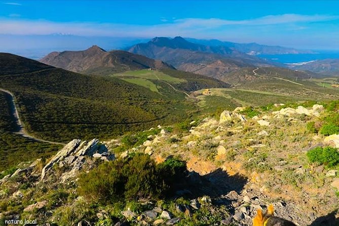 Costa Brava and Girona Small Group Easy Hike from Barcelona - What the day feels like, guided and unhurried