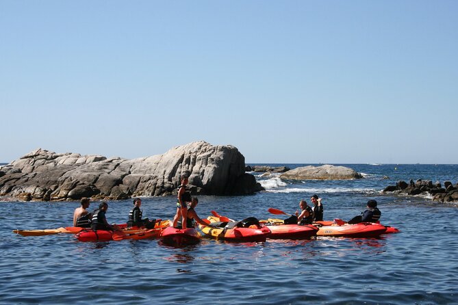 Costa Brava Guided Kayak and Snorkeling Excursion in Playa de Aro - Price and value: what $35.95 covers in the real world