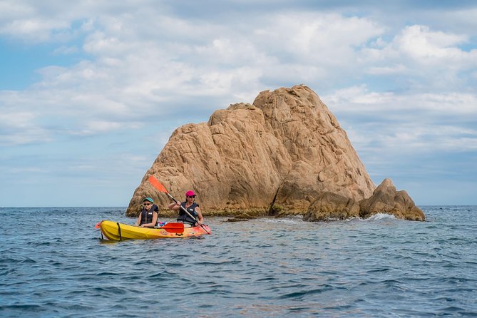 Costa Brava Kayak & Snorkel Tour + Picnic from Barcelona - Snorkeling Stops and Cliff Jump Moment: Marine Life Varies