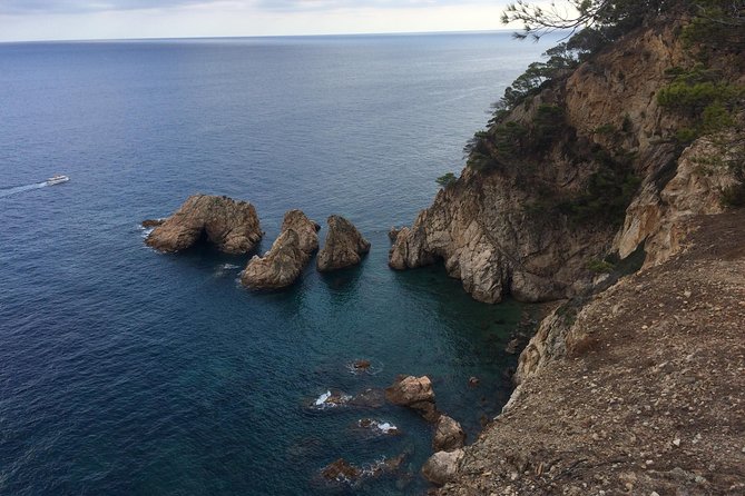Costa Brava Scenic Hike & Tossa de Mar Small Group Tour - Tossa de Mar on foot: fishermen village time and lunch expectations