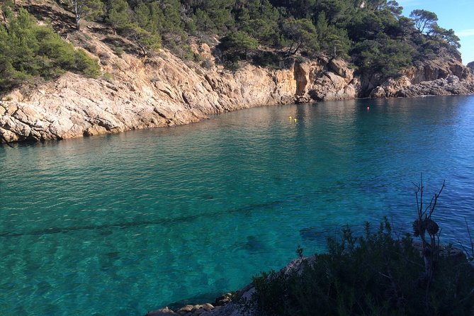 Costa Brava Scenic Hike & Tossa de Mar Small Group Tour - Vila Vella, the fortified old town walk you will remember