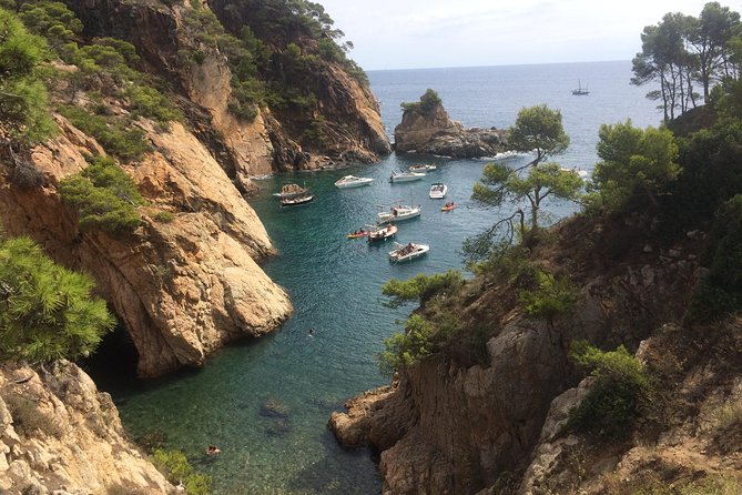 Costa Brava Scenic Hike & Tossa de Mar Small Group Tour - Cala Pola, Cala Bona, and Es Codolar: short stops that matter