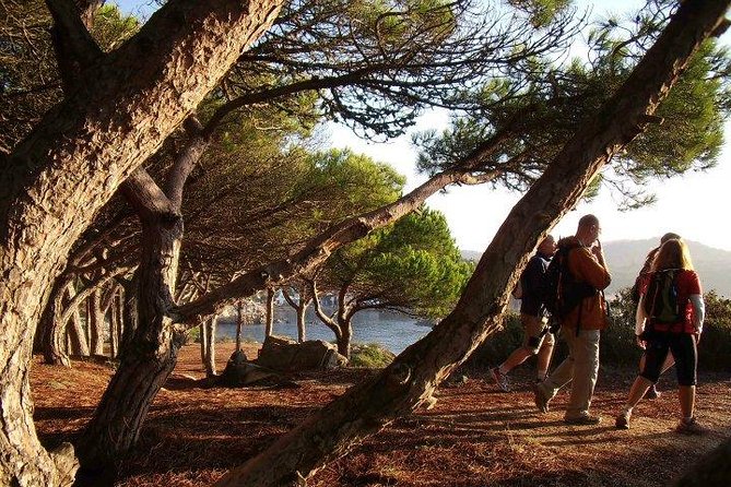 Costa Brava Small Group Hiking Tour from Barcelona - Price and value from Barcelona for an included-sea day