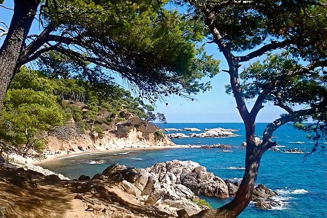 Costa Brava Small Group Hiking Tour from Barcelona - Ruins, port towns, and that real Costa Brava mix