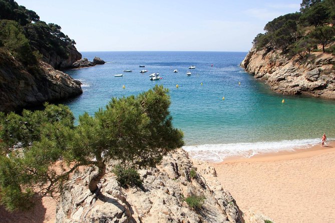 Costa Brava, Tossa de Mar Private Tour, hotel pick-up & Boat Ride - Guides that set the tone: what the reviews reveal