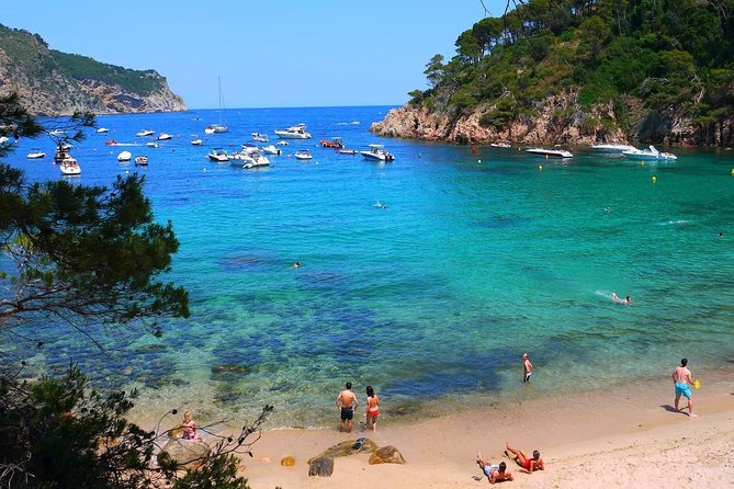 Costa Brava, Tossa de Mar Private Tour, hotel pick-up & Boat Ride - Hotel pickup at 8:30 and the road-trip pace in a private van